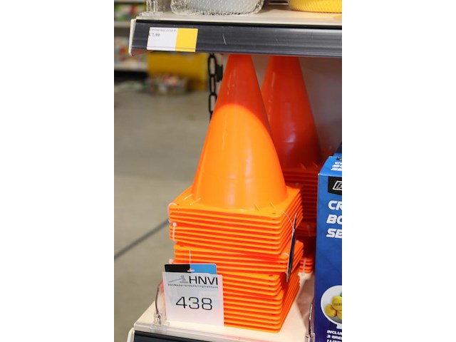 40 pionnen in schap met hoogte 18 cm. - afbeelding 2 van  2