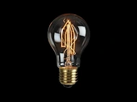 40 x retro edison filament lichtbronnen - afbeelding 1 van  9