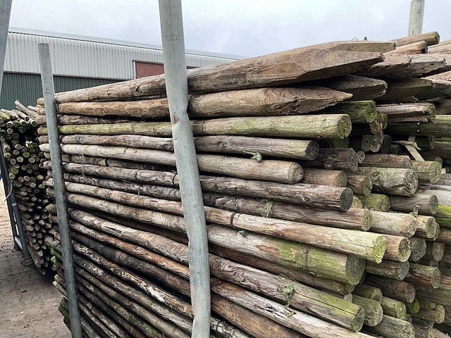 Ø 45 mm weide/tuinpalen - afbeelding 2 van  4