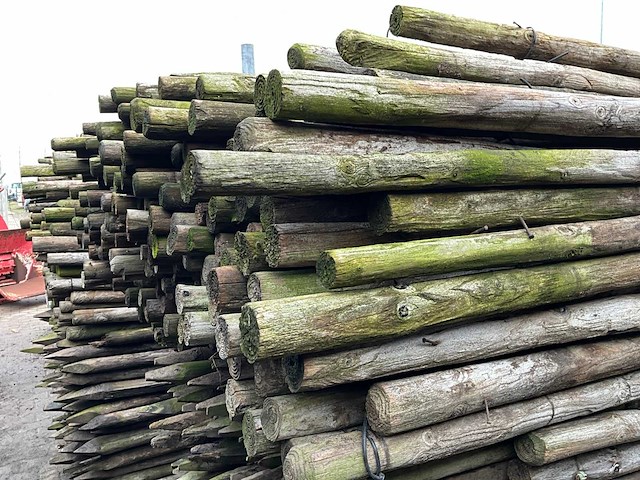 Ø 45 mm weide/tuinpalen - afbeelding 3 van  6