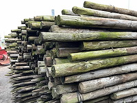 Ø 45 mm weide/tuinpalen - afbeelding 3 van  6