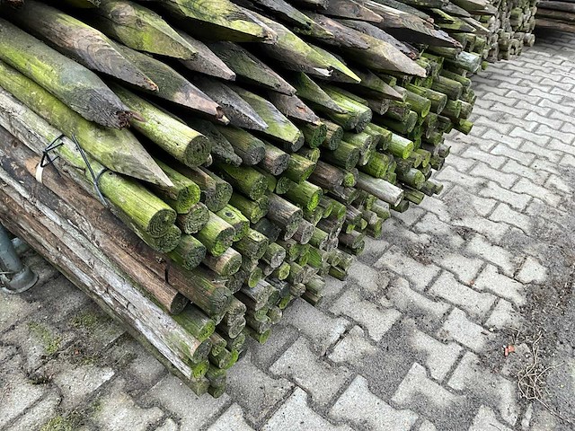 Ø 45 mm weide/tuinpalen - afbeelding 4 van  6