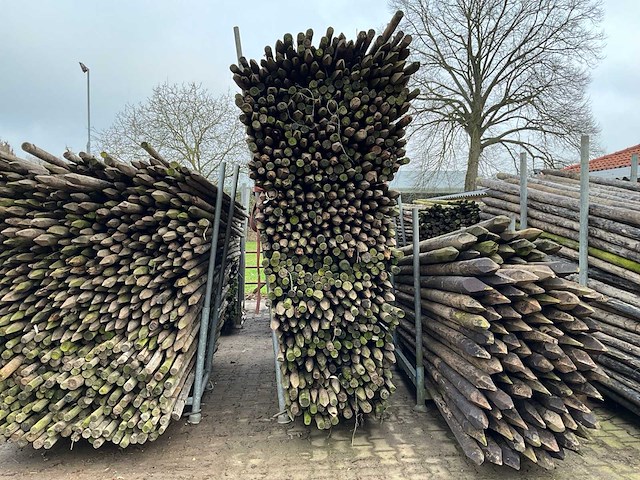 Ø 45 mm weide/tuinpalen - afbeelding 1 van  4