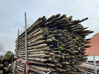 Ø 45 mm weide/tuinpalen - afbeelding 3 van  4