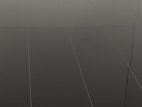 48 m2 pvc spc click plank - 1500 x 203 x 5 mm - afbeelding 1 van  4