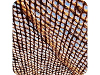 4shine - kokos schaduwdoek 4x4 m1 - schaduwdoek (4x) - afbeelding 3 van  3