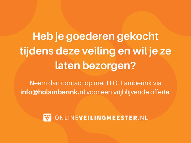 4x ammoniet ruw - afbeelding 6 van  6