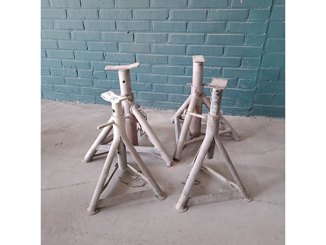 4x assteun - afbeelding 1 van  2