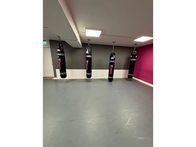 4x bokszak joya, zwart - afbeelding 1 van  6