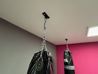 4x bokszak joya, zwart - afbeelding 5 van  6