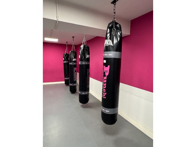 4x bokszak joya, zwart - afbeelding 1 van  7