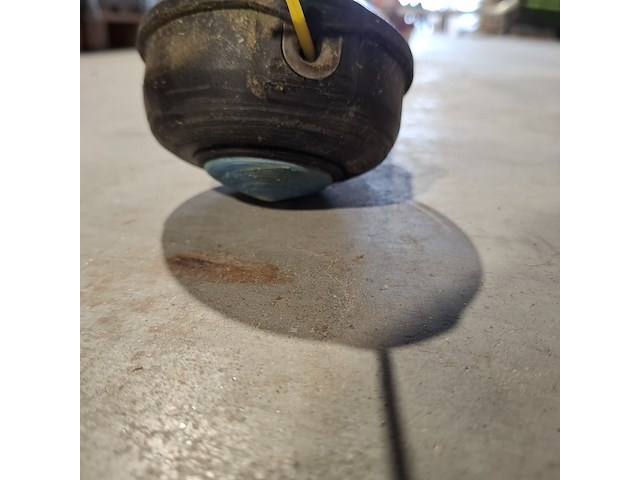 4x bosmaaier, kawasaki, echo en jonserend - afbeelding 11 van  36