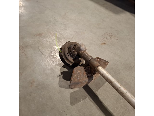 4x bosmaaier, kawasaki, echo en jonserend - afbeelding 19 van  36