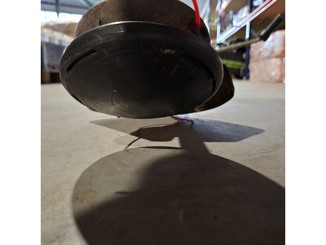 4x bosmaaier, kawasaki, echo en jonserend - afbeelding 30 van  36