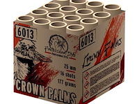 4x crown palms 16 shots 20mm cake - afbeelding 1 van  1