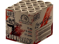 4x crown palms - afbeelding 1 van  1