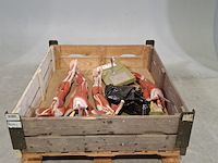 4x functioneel spiermodel arm