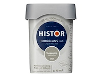 4x lak hoogglans histor, perfect finish, toepassing, 250 ml - afbeelding 2 van  2