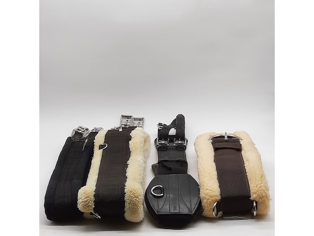 4x paarden singel - afbeelding 1 van  15