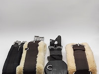 4x paarden singel - afbeelding 1 van  15