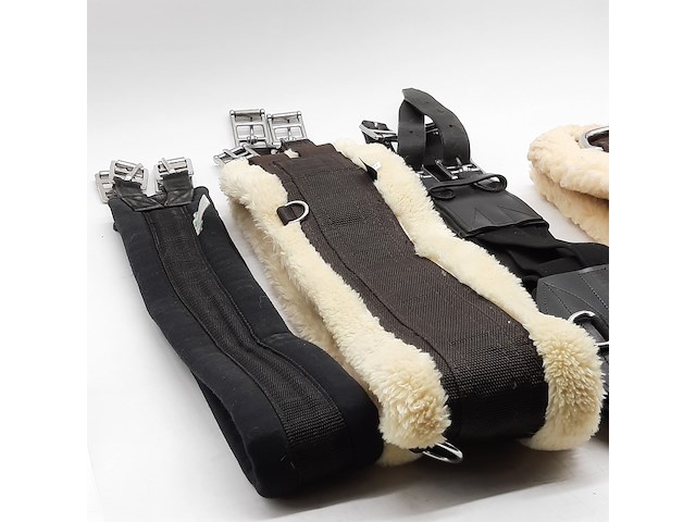 4x paarden singel - afbeelding 8 van  15