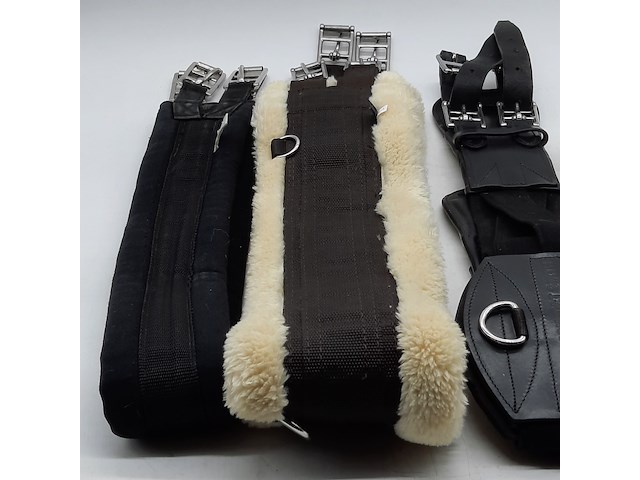 4x paarden singel - afbeelding 11 van  15