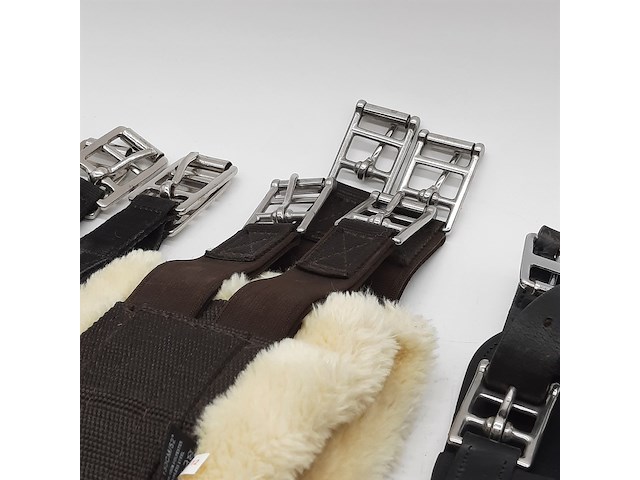 4x paarden singel - afbeelding 12 van  15