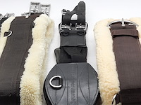 4x paarden singel - afbeelding 13 van  15