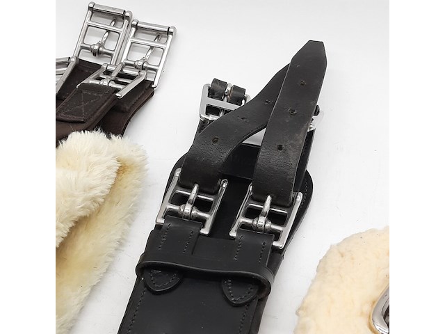 4x paarden singel - afbeelding 15 van  15