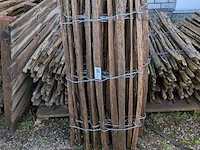 4x rol kastanjehekwerk - afbeelding 3 van  6