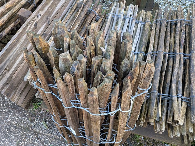 4x rol kastanjehekwerk - afbeelding 4 van  6