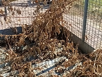 4x stapelbare gaaskrat - afbeelding 2 van  13