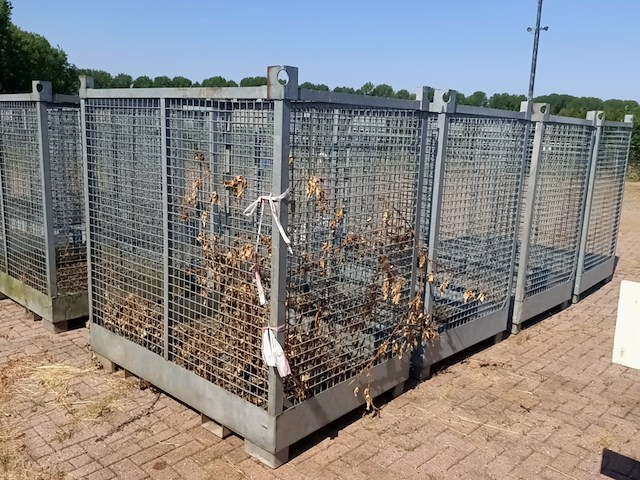 4x stapelbare gaaskrat - afbeelding 4 van  13