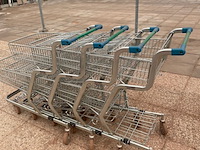 4x tuincentrum winkelwagens - afbeelding 1 van  2