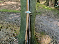 4x tuingereedschap - afbeelding 2 van  2