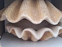 4x tuinverlichting - afbeelding 15 van  20