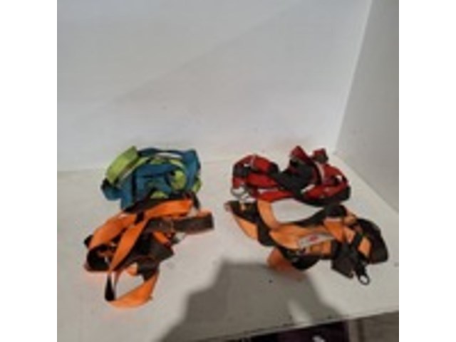 4x valgordel (afgekeurd) - afbeelding 1 van  3