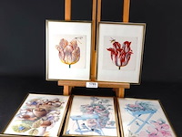 5 ingelijste drukken - afbeelding 1 van  5