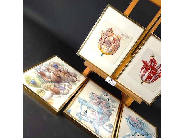 5 ingelijste drukken - afbeelding 2 van  5