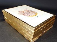 5 ingelijste drukken - afbeelding 5 van  5