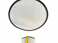 50 frisbees