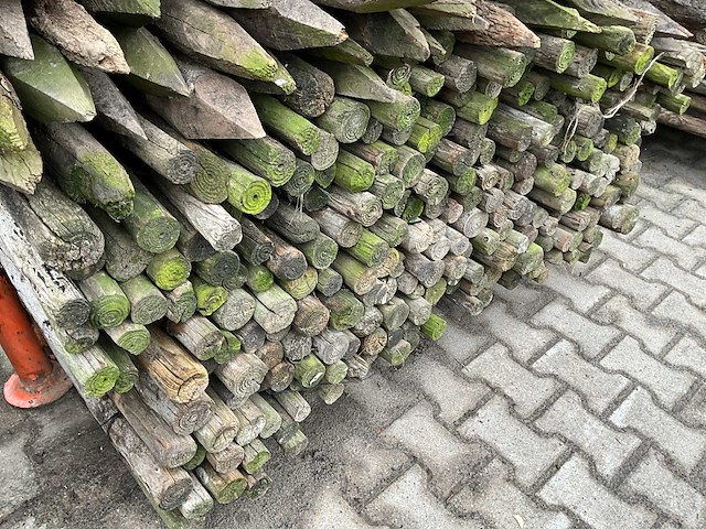 Ø 50 mm weide/tuinpalen - afbeelding 2 van  4