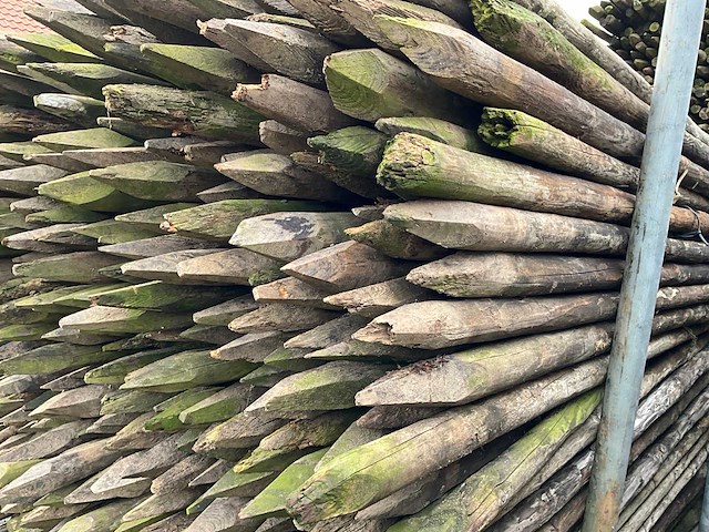 Ø 50 mm weide/tuinpalen - afbeelding 4 van  4