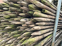 Ø 50 mm weide/tuinpalen - afbeelding 4 van  4