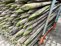 Ø 50 mm weide/tuinpalen - afbeelding 3 van  4
