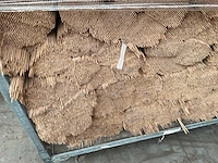 500x5 mm plantstokken - afbeelding 2 van  5
