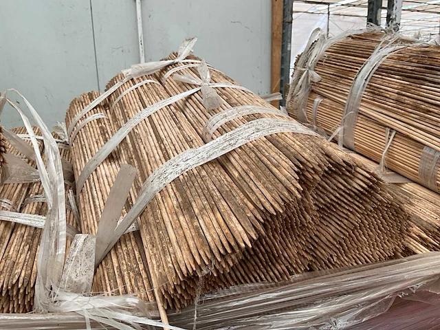 500x5 mm plantstokken - afbeelding 3 van  5