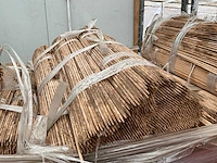 500x5 mm plantstokken - afbeelding 3 van  5