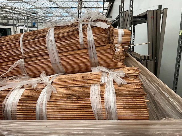 500x5 mm plantstokken - afbeelding 5 van  5