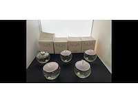 5x carachel noa parfum - afbeelding 2 van  2